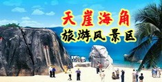 大鸡吧插嫩逼视频网站免费海南三亚-天崖海角旅游风景区